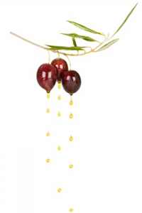 Kingston Olive Oil Company - Healthy Living